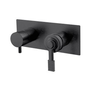 Remer Atelier Bateria wannowo-natryskowa podtynkowa 2-drożna - element zewnętrzny Brushed Black Chrome AL92ZWBCFP