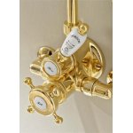 Sbordoni Londra Bateria prysznicowa termostatyczna z przełącznikiem z drążkiem, wężem, słuchawką, ramieniem i deszczownicą Ø 30 cm Natural Brass LO4171s300ON